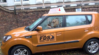 Fake Driving School - Tiffany Russo simán reszel a jogsiért